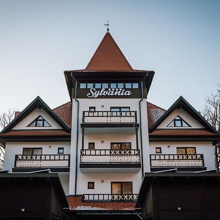 Pensiunea Sylvania 索瓦塔 外观 照片