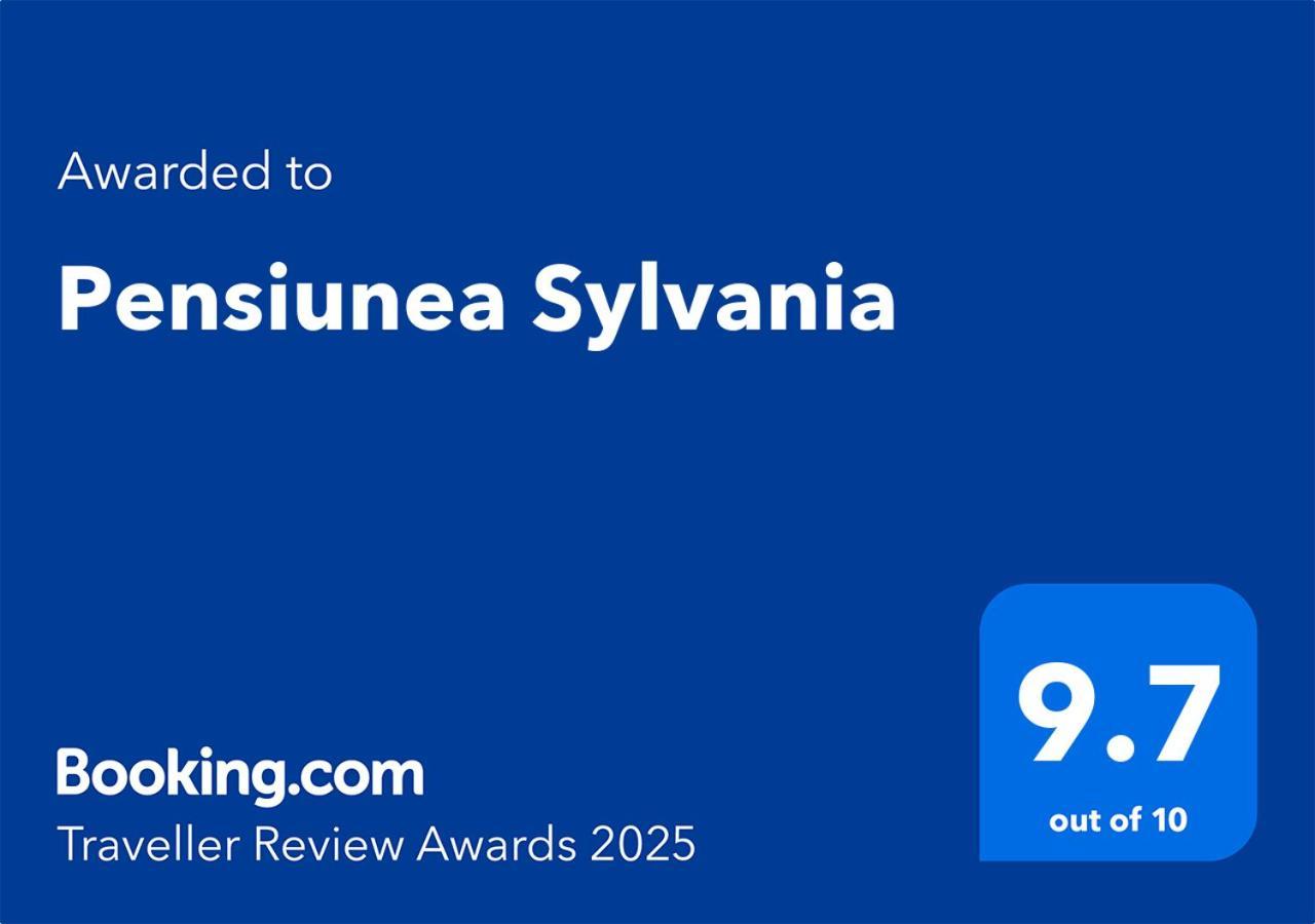 Pensiunea Sylvania 索瓦塔 外观 照片